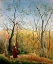 Picture of A STROLL IN THE WOODS
