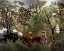 Picture of EXOTIC LANDSCAPE