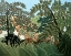 Picture of EXOTIC LANDSCAPE