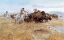 Picture of BUFFALO HUNT