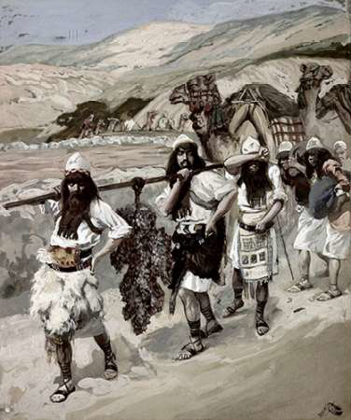 Picture of GRAPES OF CANAAN