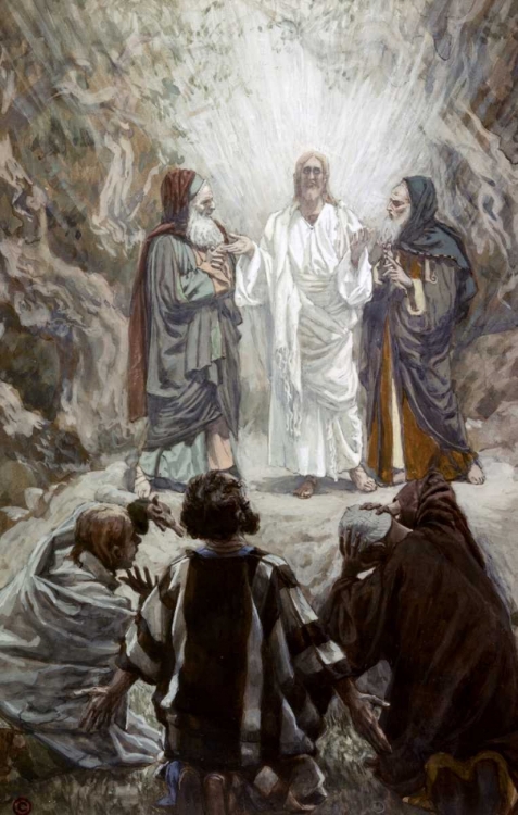 Picture of TRANSFIGURATION