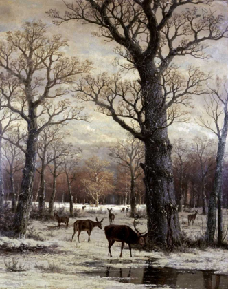 Picture of DEER FORAGING, WINTER