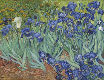 Picture of IRISES, 1889