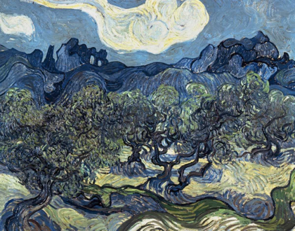 Picture of OLIVE TREES WITH THE ALPILLES IN THE BACKGROUND,SAINT-REMY