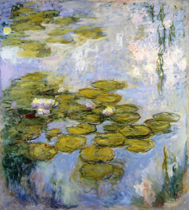 Picture of NYMPHEAS - WATER LILIES