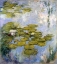 Picture of NYMPHEAS - WATER LILIES