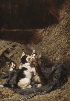 Picture of KITTENS IN THE HAY