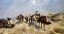 Picture of BEDOUIN CARAVAN