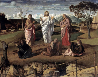 Picture of TRANSFIGURATION