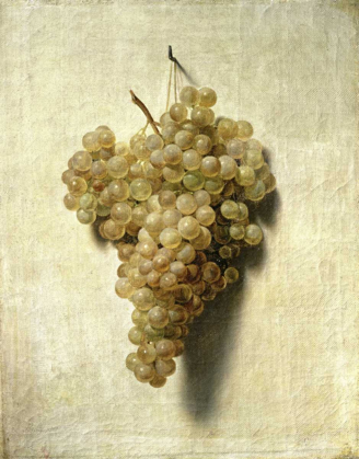 Picture of WHITE GRAPES - RAISONS BLANCS