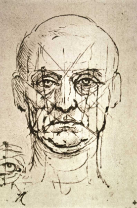 Picture of PROPORTIONS OF THE FACE