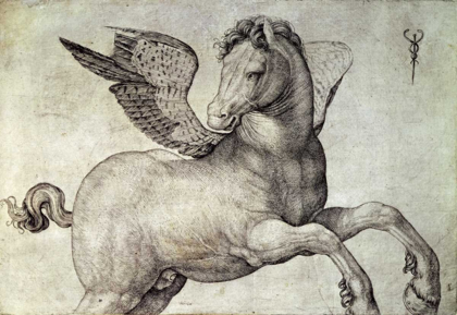 Picture of PEGASUS