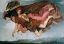 Picture of NIGHT AND SLEEP - DETAIL