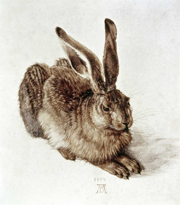 Picture of THE YOUNG HARE