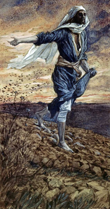 Picture of THE PARABLE OF THE SOWER