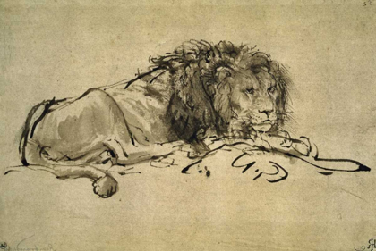 Picture of LION