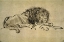 Picture of LION