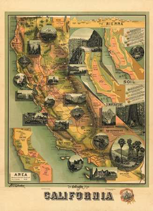 Picture of THE UNIQUE MAP OF CALIFORNIA, 1885