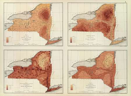 Picture of NEW YORK: RAINFALL, POPULATION, ELEVATION, TEMPERATURE, 1895