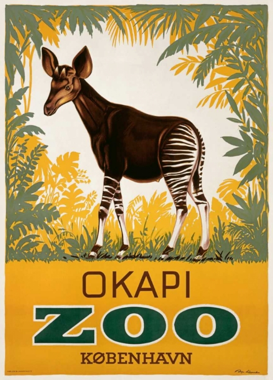 Picture of KØBENHAVN ZOO/OKAPI