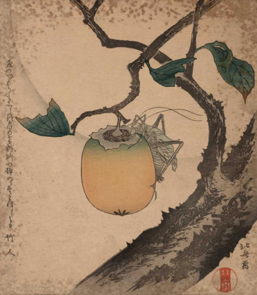 Picture of GRASSHOPPER EATING PERSIMMON, 1850