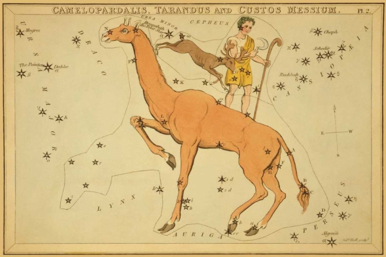 Picture of CAMELOPARDALIS, TARANDUS AND CUSTOS MESSIUM, 1825