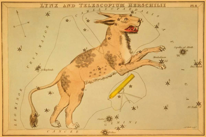 Picture of LYNX AND TELESCOPIUM HERSCHILII, 1825