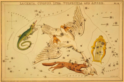 Picture of LACERTA, CYGNUS, LYRA, VULPECULA AND ANSER, 1825