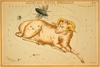 Picture of ARIES AND MUSCA BOREALIS, 1825