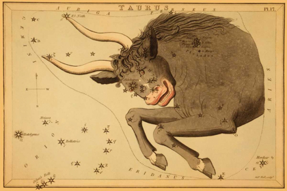 Picture of TAURUS THE BULL, 1825
