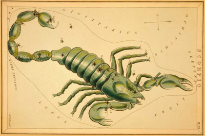 Picture of SCORPIO, 1825