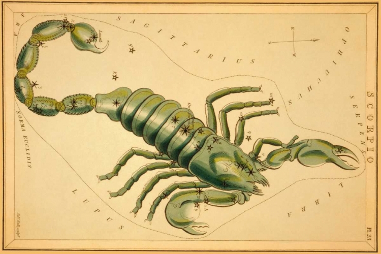 Picture of SCORPIO, 1825