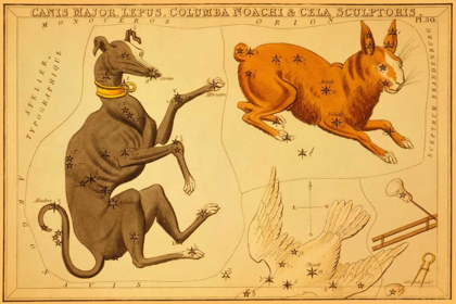 Picture of CANIS MAJOR, LEPUS, COLUMBA NOACHI AND CELA SCULPTORIS, 1825