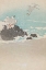 Picture of PLOVERS OVER WAVES