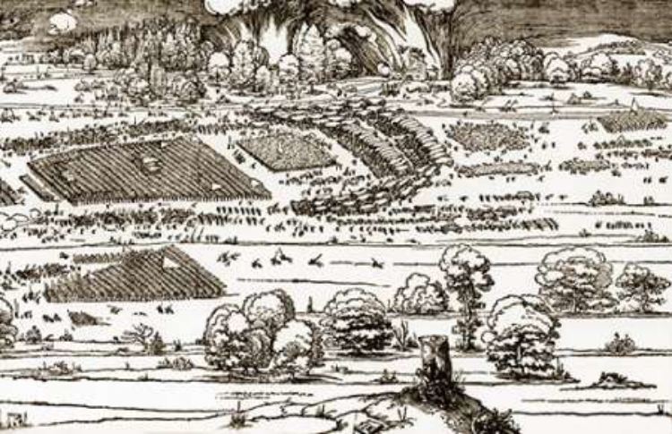 Picture of THE SIEGE OF A FORTRESS