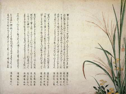 Picture of ASTERS AND SUSUKI GRASS 1805