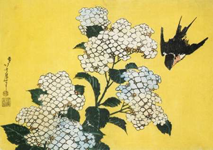 Picture of HYDRANGEA AND SWALLOW