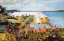 Picture of FLOWER GARDEN AND BUNGALOW BERMUDA
