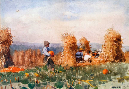 Picture of PUMPKIN PATCH