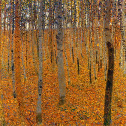 Picture of BEECH FOREST I 1902