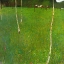 Picture of FARMHOUSE WITH BIRCH TREES