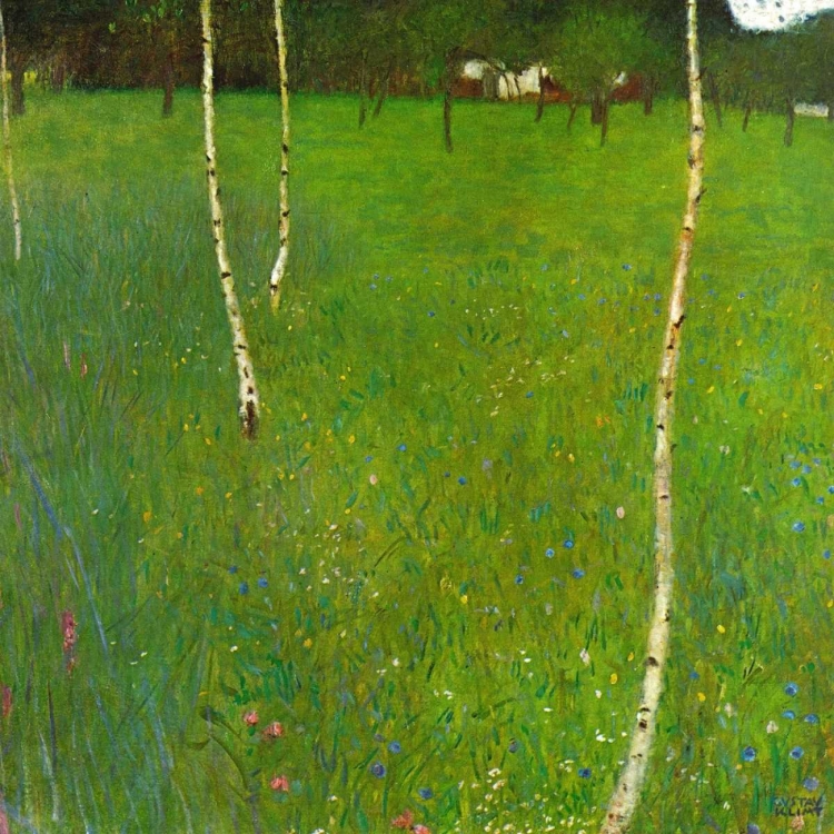 Picture of FARMHOUSE WITH BIRCH TREES