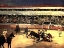 Picture of BULLFIGHTERS