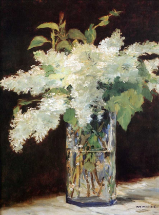 Picture of WHITE LILACS