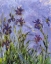 Picture of IRISES (DETAIL)