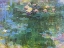 Picture of WATERLILIES 1916 - 3
