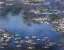 Picture of WATERLILIES 3