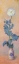 Picture of WHITE POPPY