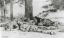 Picture of THE NOONDAY HALT